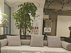 -席仁堂推拿按摩脊柱调理(世纪科贸大厦店)