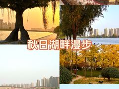 -咸阳湖景区