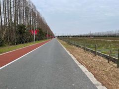 -上海长兴岛郊野公园