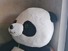 -眉州东坡(翠微印象城店)