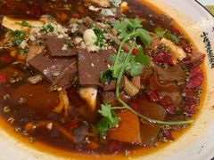 -蝶园·装修中(BFC外滩金融中心店)