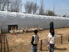 -汉长安城未央宫国家考古遗址公园