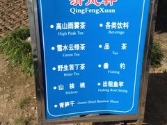 -严子陵钓台(富春江小三峡)