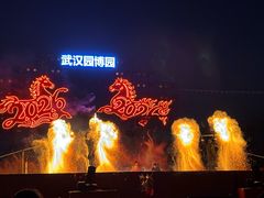 -武汉园博园(武汉自然博物馆)