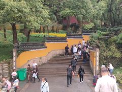 -普陀山风景名胜区-法雨禅寺
