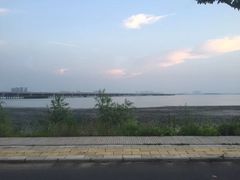 -花博汇(知音花月夜)