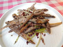 -俭朴菜(鲁磨路店)