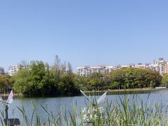 -新江湾城公园