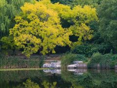 -国家植物园南园