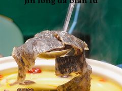 鲍鱼土鸡甲鱼煲-金龙·打边炉(南京西路店)