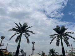 -中华恐龙园