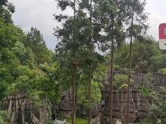 -梭布垭石林景区