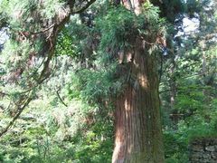 -东天目山风景区