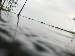 景点&nbsp;金庭镇&nbsp;-苏州吴中太湖旅游区