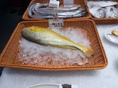 -佬太公海鸭·海鲜大排档(上海总店)
