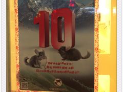 -龙猫仔乐园(惠福东路店)