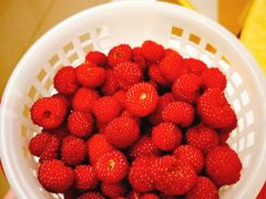 -鑫福楼农家菜