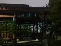 -龙头寺公园