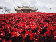 -集美鳌园景区