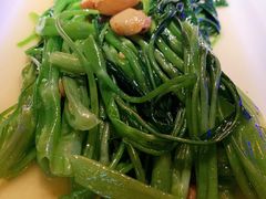 豆酱扒通菜-绿茶餐厅(汇悦大融城店)