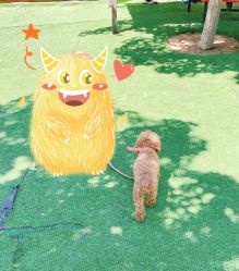 -萌宠亲子动物乐园(槐房万达店)