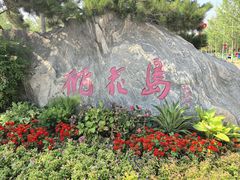 -桃花岛公园