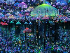 -天津梵高星空艺术馆(天河城旗舰店)