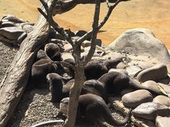 -昆明动物园