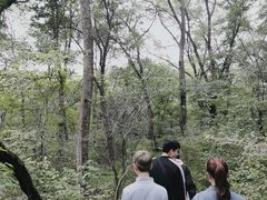 -大青沟风景区
