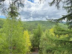 -莫尔道嘎国家森林公园