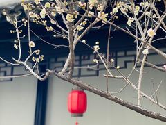 -南京市民俗博物馆(甘熙故居)