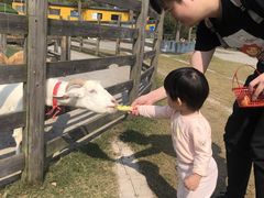 -前小桔亲子创意农场·草莓采摘·露营烧烤