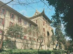 -武汉大学-樱园