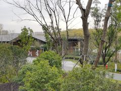 -昆山城市生态森林公园