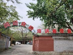 -闻道食府烙饼卷带鱼(原车耳营店原大觉寺店)