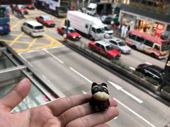 -海底捞火锅(油麻地店)