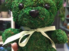 -花言草语(灵山路店)