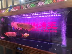 -洪忠涮烤王(嵩山路店)