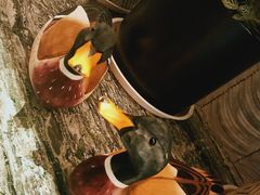 -金鸭季·北京烤鸭(深业上城店)