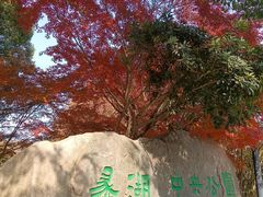 -蠡湖中央公园