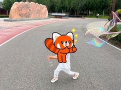 -南宫温泉水世界