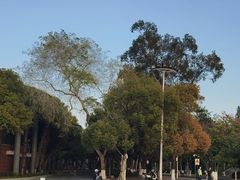 -厦门大学(思明校区)