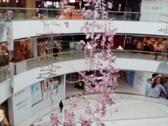 -万达广场(松江店)