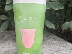 -CoCo都可(天河又一城店)