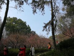 -团城山公园