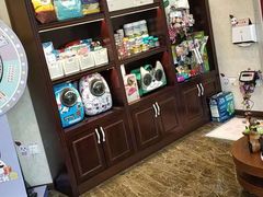 -宠爱国际动物医院·消化内科·心肾内科·ISFM猫友好(望京店)