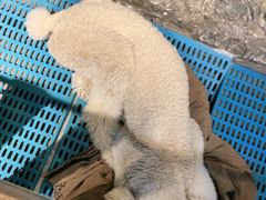 -MOJO密室逃脱(中街旗舰店)