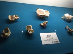 -青岛贝壳博物馆