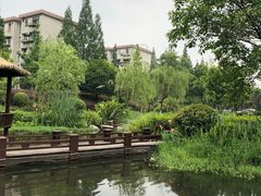 -成飞公园