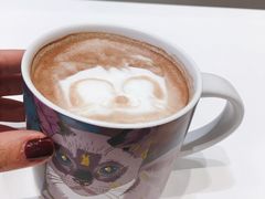 -飞行喵MR PILOT|猫舍·猫咖(静安大融城店)